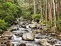 Caldera River, in Boquete District.