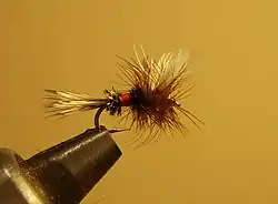 Royal Wulff Dry Fly - A Classic Attractor Pattern