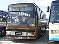 Paramount 3200 I on Quest 80 VM chassis.  This vehicle has a low driving position and non-standard window spacing which omits the small feature window.