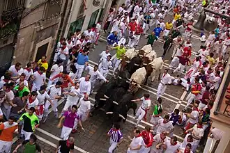 Encierro de San Fermín