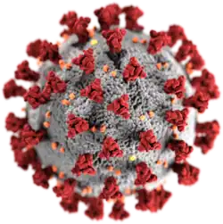 Illustration of a SARS-CoV-2 virion