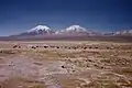 Volcanoes in Sajama National Park (Parinacota and Pomerape)