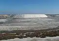 Salt extraction