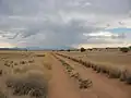 A sand road in Namibia.