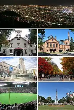 Sapporo City Montage