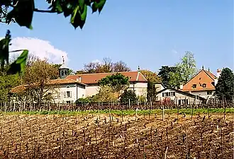 View of the village and vineyards