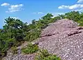 A conglomerate: sedimentary rock made from white pieces of older rock, broken up and mixed with red sand at the bottom of a river.
