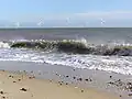 Scroby Sands wind farm from Great Yarmouth