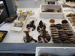 Seafood stall, Bolton Market