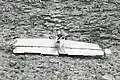 An airplane part from TWA Flight 2 that broke off during the collision. The image was taken by park rangers. as part of the collision investigation.
