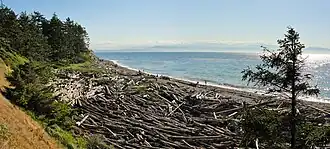 Shoreline at Fort Ebey State Park on Whidbey Island