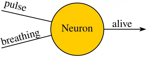 Single neuron which takes the values of pulse (true/false) and breathing (true/false), and outputs value of alive (true/false).