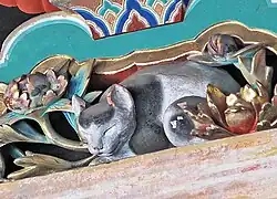 Sleeping Cat