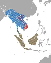 Range map showing ranges of several  species: the Sunda slow loris complex (N. coucang) in Thailand, Malaysia, and Indonesia; the Bengal slow loris (N. bengalensis) in east India, China, Bangladesh, Bhutan, Burma, Thailand, Laos, Vietnam, and Cambodia; and the pygmy slow loris (N. pygmaeus) in Vietnam and Laos.