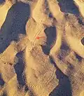 Snake trail on sand dune.