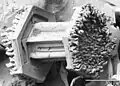 Micrograph of a snowflake