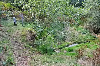 The source of Vienne near Saint-Setiers.