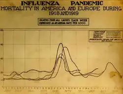 Number of deaths in New York City, Berlin, Paris, and London (Museum of Health & Medicine, Washington), c. 1918–1919