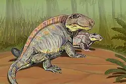 A Sphenacodon pair.