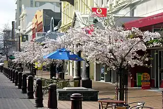 Spring in Esk Street, Invercargill