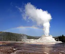 Geyer of water and steam erupting from an ashen cone.