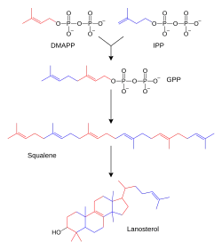 Chemical-diagram flow chart