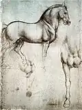 Study of a horse for the Duke's statue