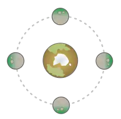 An example of "synchronous rotation": the moon takes the same time to orbit around the planet as the planet takes to spin around its own axis. This means that the same side of the moon is always pointed at the planet and, in this example, people living on the planet will never be able to see the green side of the moon.