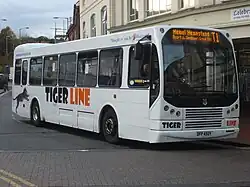 Tiger Line Leyland Tiger with Myllennium Hyline bodywork in 2008