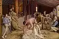 Shearing the Rams