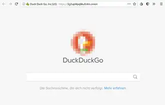 Screenshot of duckduckgo running on tor.