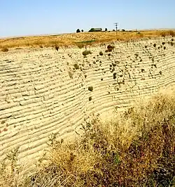  This photo shows a canyon cut into the surrounding flat soil with 32 distinct horizontal layers of soil, each clearly demarked from the layer below. Above the canyon a farm house can be seen n the distance - the farm house provide the perspective that helps the viewer establish that the cut is over 40 deep. The bottom of the cut is filled with tumble weeds.