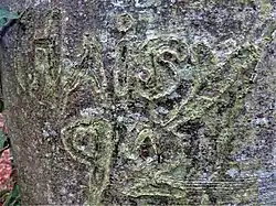 "Haisy 92" carved on a tree; the letters have stretched as the tree has grown