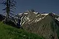 The Trettachspitze from the Hierenalpe