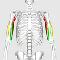 Still image. Front view.