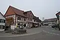 Village fountain and store at Truttikon