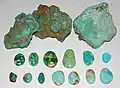 Three rough chunks of raw turquoise in brown matrix are at the top of the picture, below which are a range of thirteen finished cabochons showing showing various colors ranging from green to light turquoise blue, and a range of spiderweb matrix ranging from none to light yellow to deep brown.