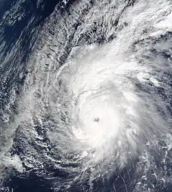 Typhoon Pongsona, the last typhoon in 2002