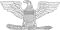 alt=alt=Colonel / Captain
