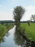 The Alzette near Hesperange