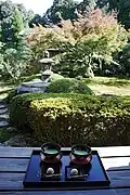 View of the garden
