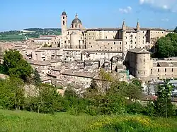 Urbino.