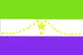Flag of Usulután