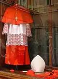 Cardinal's choir dress