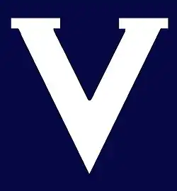 Shirt badge/Association crest