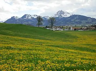 A view on Echarlens and mount Moléson