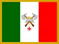 Flag of Viggiù