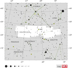 Vulpecula