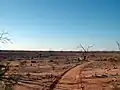 Dry bed of Lake Pinnaroo