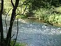The Wark joining the Alzette